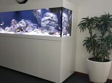 Extra clear akvarium
