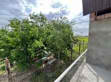 1000 sot torpaq sahəsi, Şamaxı r.