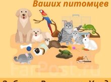Zoo hotel xidməti