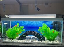 Akvarium 