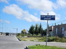 12 sot torpaq sahəsi, Ləhic bağları.