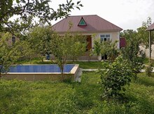 Bağ evi kirayə verilir, Qəbələ ş.