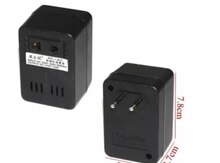 Voltage Converter 220-110 V 