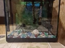 Akvarium