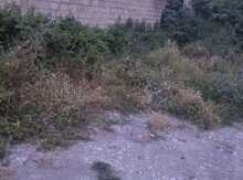 12 sot torpaq sahəsi, Şəki ş.