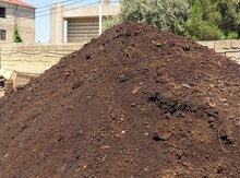 Qara torpaq peyin
