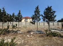 6 sot torpaq sahəsi, Şüvəlan qəs.