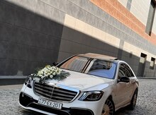 Bəy Gəlin avtomobil icarəsi