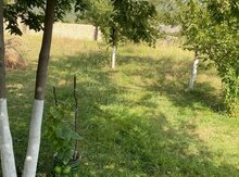 10 sot torpaq sahəsi, İsmayıllı r.