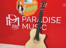 Akustik gitara