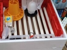 İnkubator