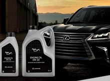 "Lexus 0w20" mühərrik yağı