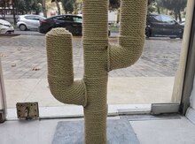 Dırnaq yonan