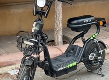 Volta Vsm, 2024 il