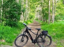 Elektrik velosiped "Ecobike MX300"