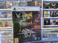 PS5 "Stray" oyunu
