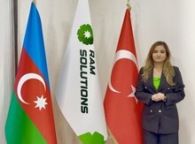Şah bayraqlar 