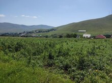 20 sot torpaq sahəsi, Gədəbəy r.