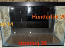 Akvariumlar