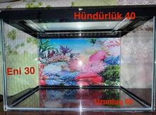 Akvariumlar