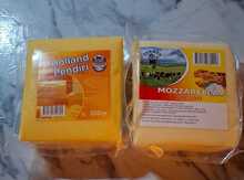 Holland pendiri