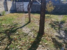 2 sot torpaq sahəsi, Şəki ş.