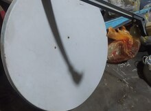 Çanaq anten