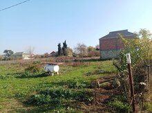 6 sot torpaq sahəsi, Cəlilabad r.