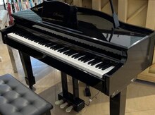 Elektron royal "Avanti" 