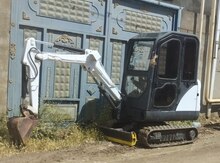 "Bobcat, 2014" icarəsi