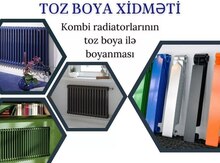 Toz boya xidməti