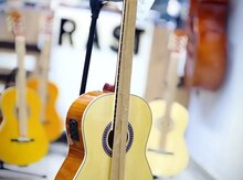 Klassik elektro gitara "Florida CG31-39+17A"