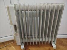 Qızdırıcı "Zass"