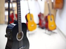 Elektro klassik gitara 4/4 "Florida  C39 Black pickup" 