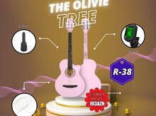 Akustik gitara dəsti 