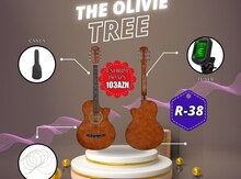Akustik gitara dəsti 