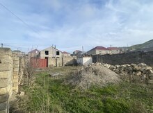 3 sot torpaq sahəsi, Çiçək qəs.