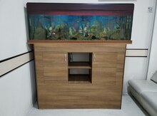 Dolablı akvarium  