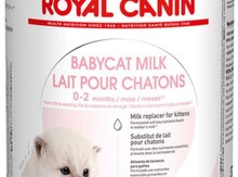 "Royal Canin" bala pişik üçün quru süd