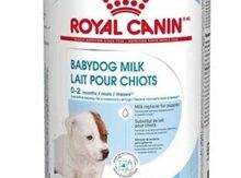 "Royal Canin" it üçün quru süd