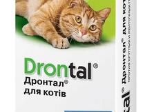 Pişik üçün "Drontal" dərmanı