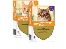 Advantage multi pişik