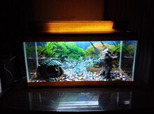 Akvarium