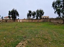 32 sot torpaq sahəsi, Mərdəkan qəs.