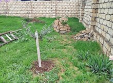 2 sot torpaq sahəsi, Mehdiabad qəs.
