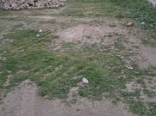 3 sot torpaq sahəsi, Binə Savxoz