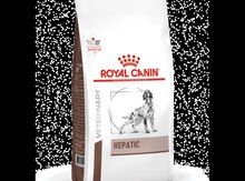 Royal Canin Hepatic Dog