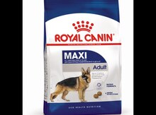 Royal Canin Maxi Adult
