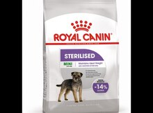 "Royal Canin Mini Sterilised" it yemi 