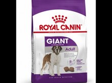 Royal Canin Giant Adult